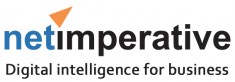 netimperative.com Logo